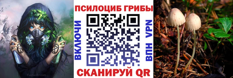 Псилоцибиновые грибы Magic Shrooms  Севастополь 